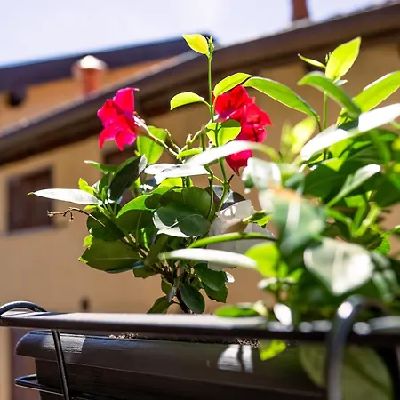 Casa Sina -la Nel Borgo *