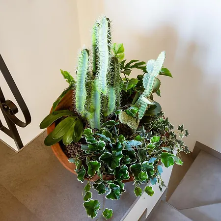 Casa Sina -la Nel Borgo Holiday home *