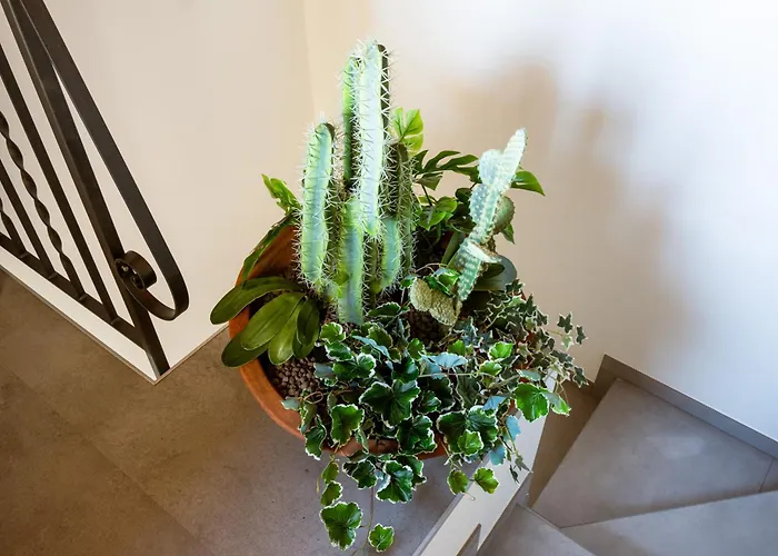 Casa Sina -la Nel Borgo Holiday home *